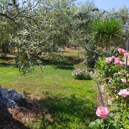 Ktima Aphroditi Apartment *